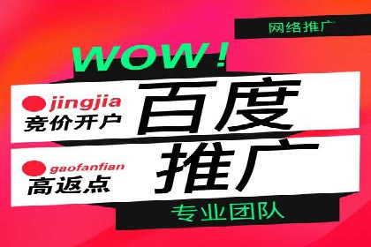 百度搜索推广案例解析：优化策略大揭秘